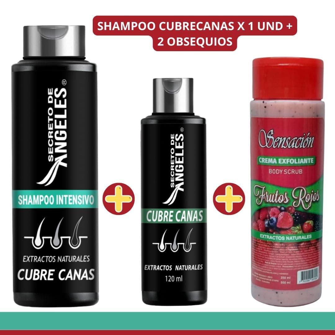 SHAMPO CANAS SECRETOX 1UN+2OBSEQ