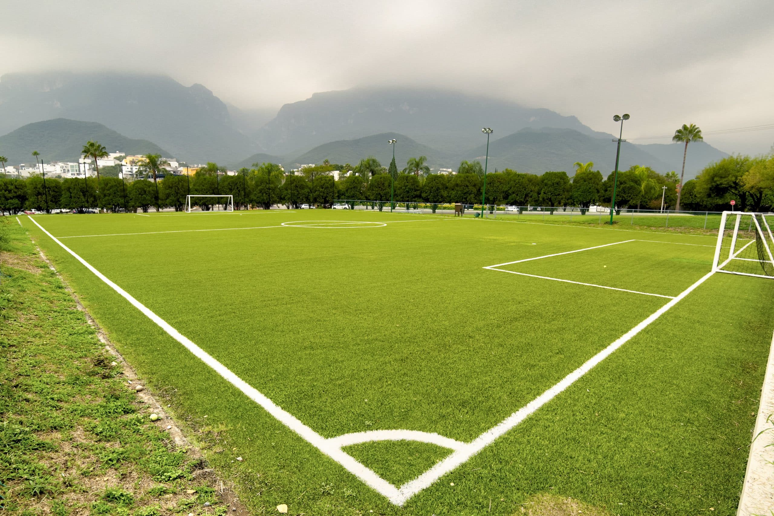 Semillas Césped Pasto Cancha Futbol 200g