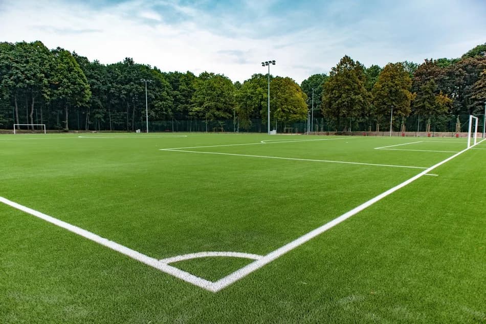 Semillas Césped Pasto Cancha Futbol 200g