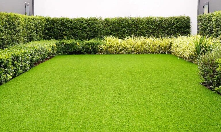 Semillas Césped Pasto Cancha Futbol 200g